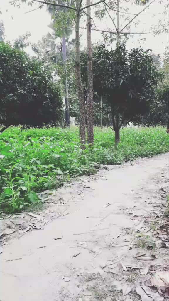 @PrinceMishra314
