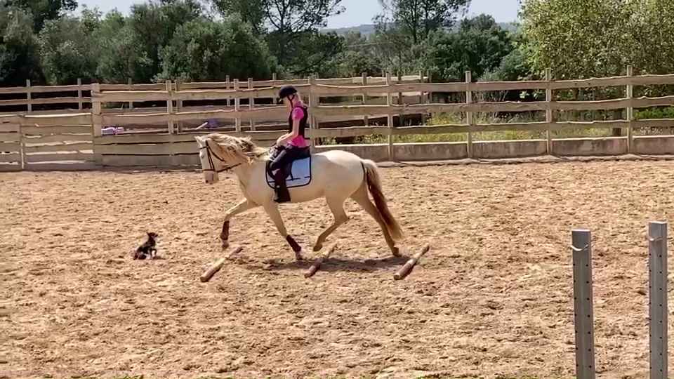 @🐴💎🥰
