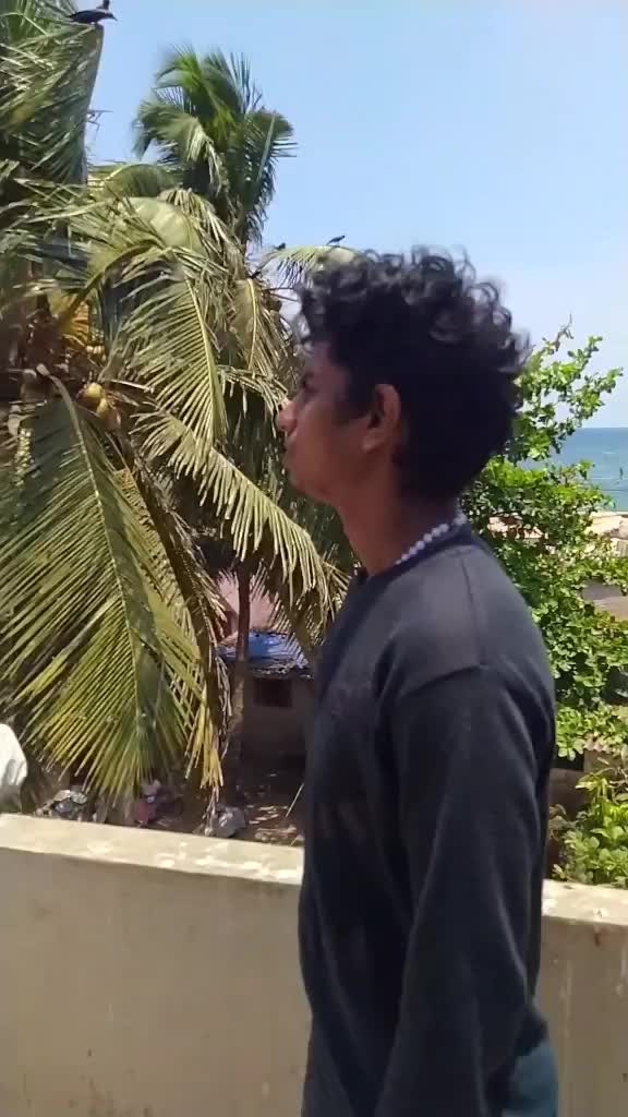 @★彡 വായാടി 彡★