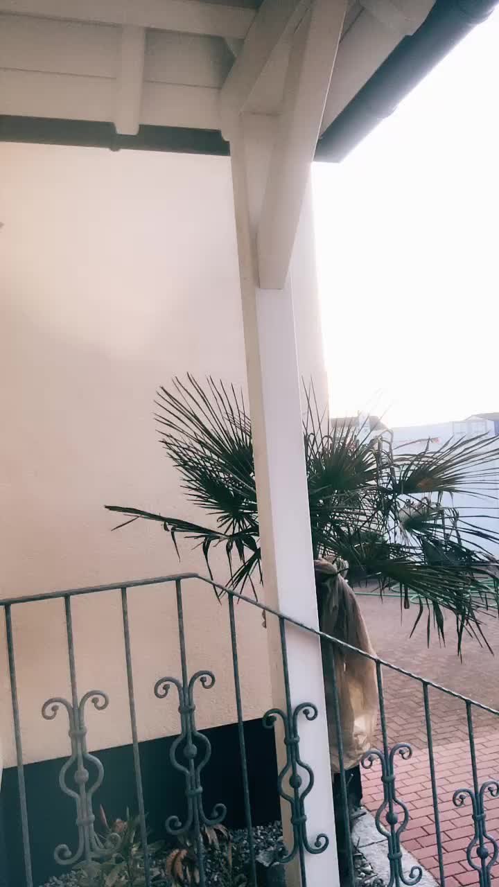 @sarah.la.la.la