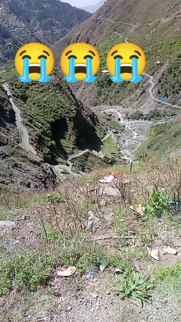 @falaknaz 51