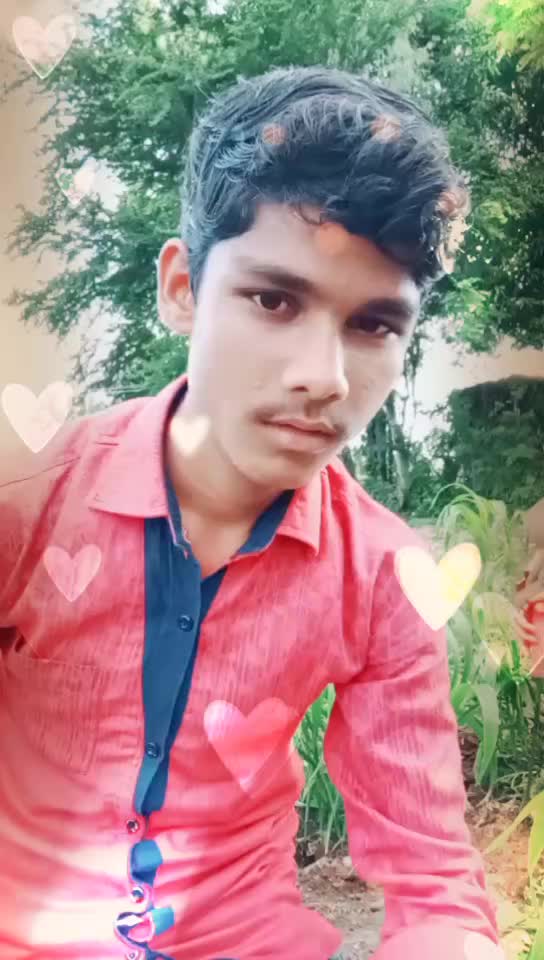 @Kadesh madar 288173