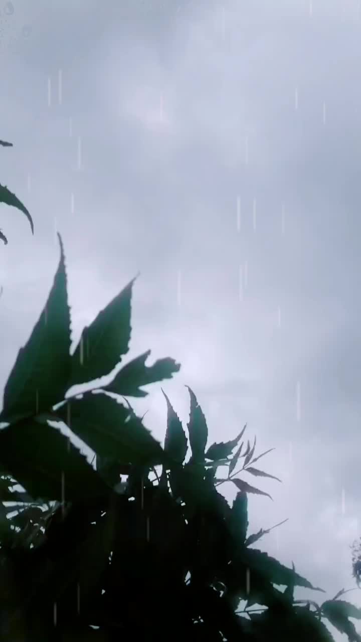 @🔥 فرهاز 🔥