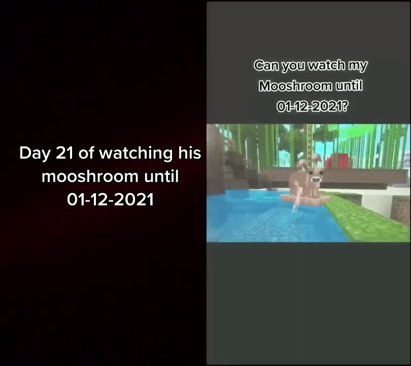 @O