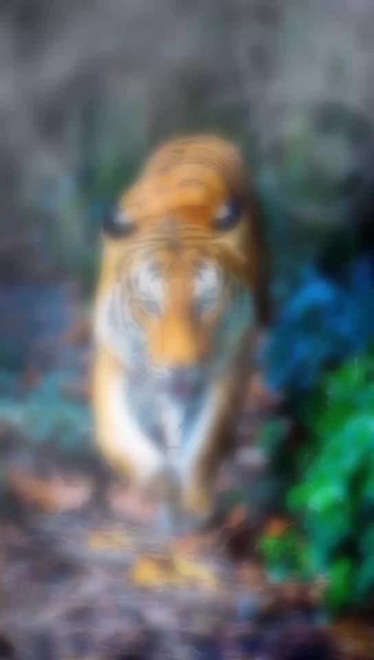 @ಕಿರಣ್ ಹಾಸನ್ ಹುಡುಗ