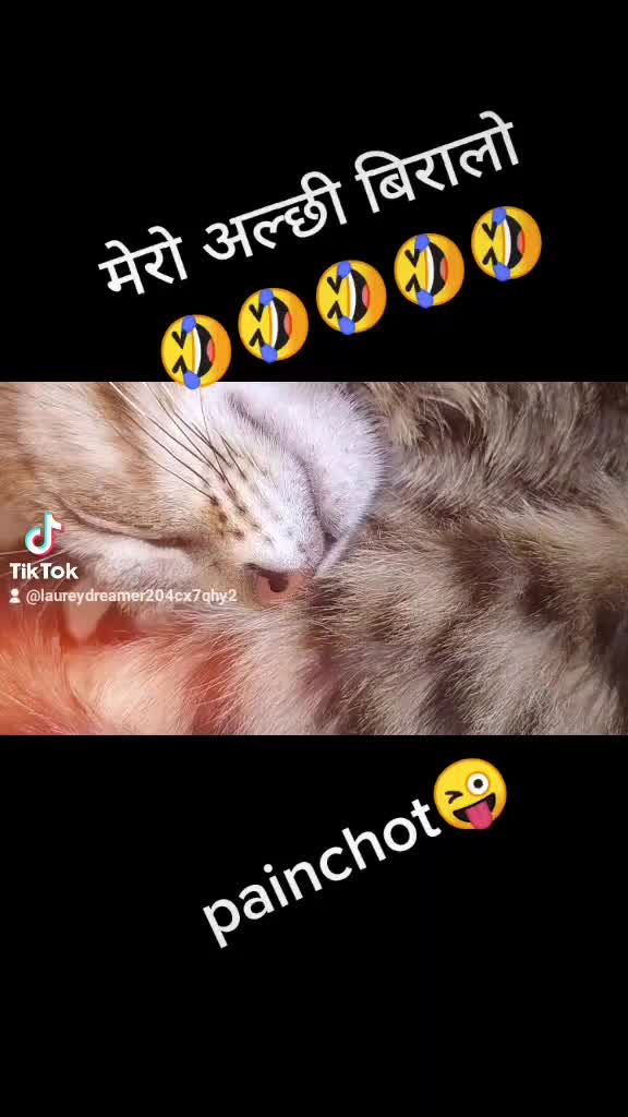 @मिस्टर डि ❤️❤️