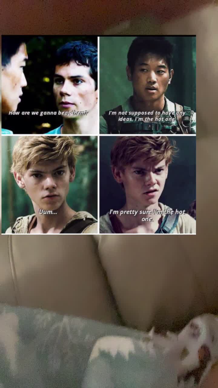 @Maze runner