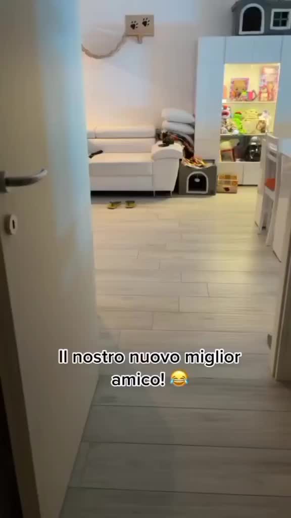@Sabrina
