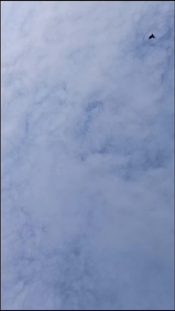 @Yeshwanth
