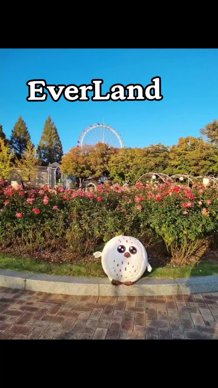@히봉_보로봉봉