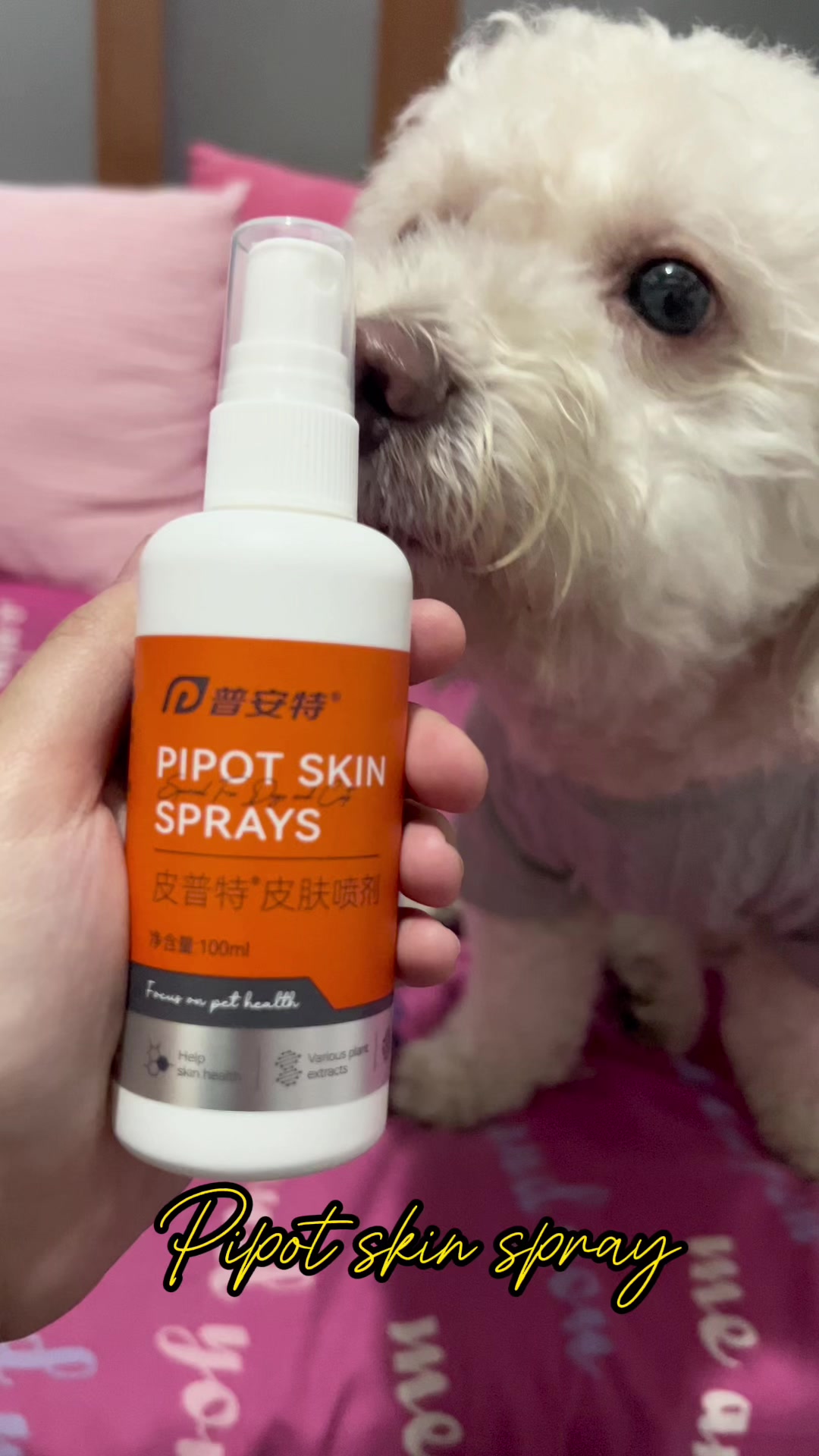 @Coco the poodle