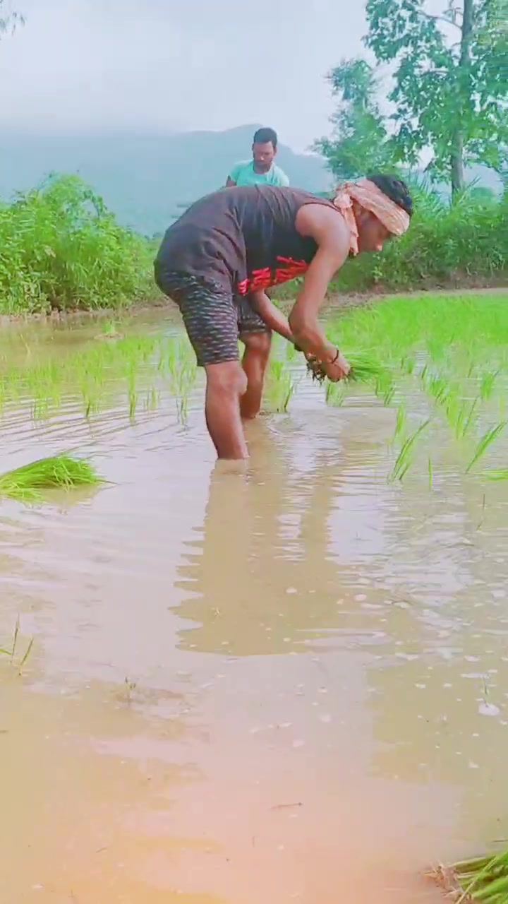 @ସବୁ ମୋହ ମାୟା 👫 💔