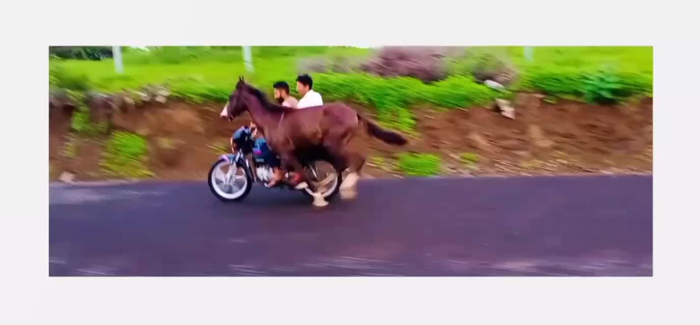 @@jadejajayrajsinh33