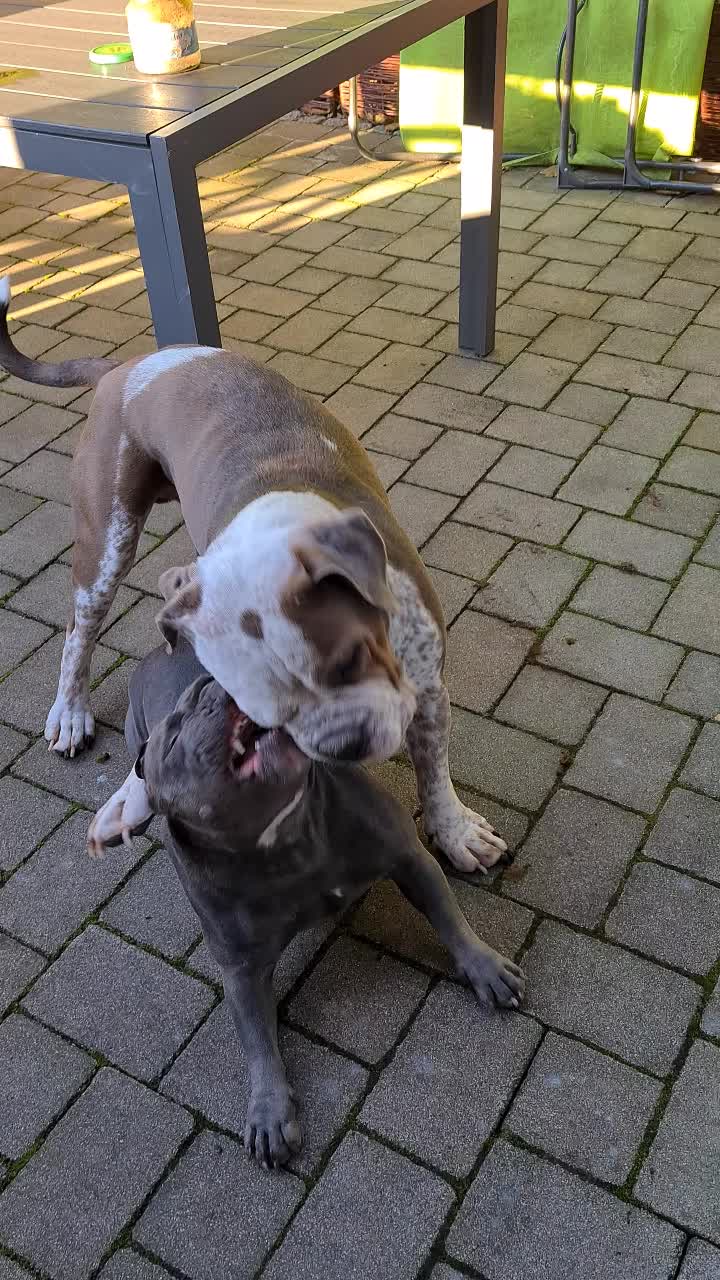 @Klausi und Jenny