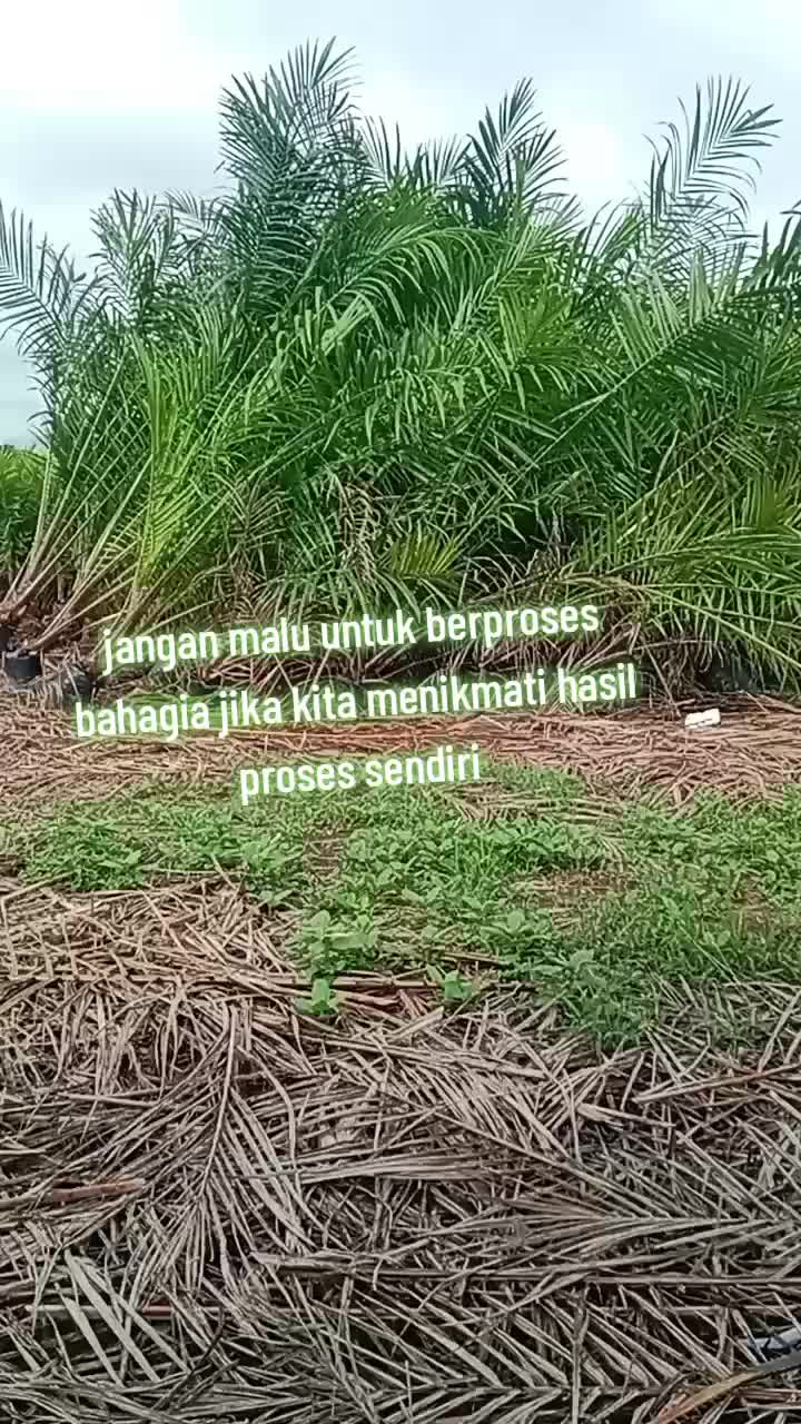 @SCORPIO.11