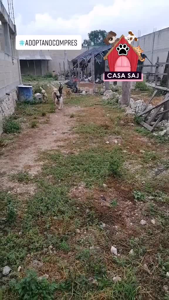 @CasaSAJ
