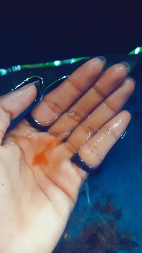@prajithkunju123
