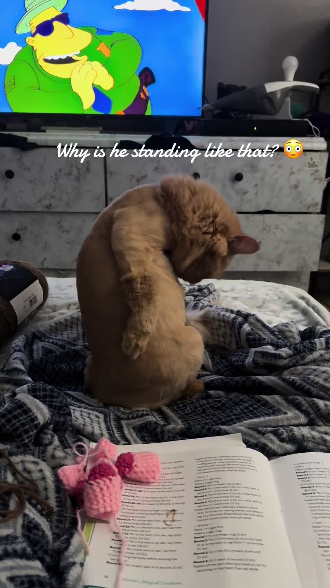 @Cyn Ramirez