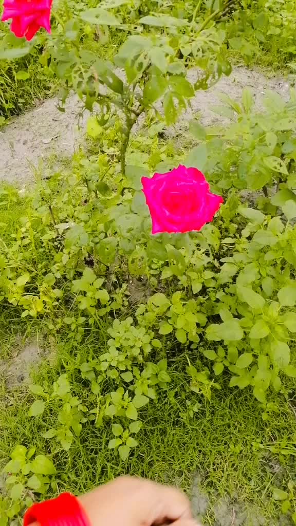 @_arohi_653