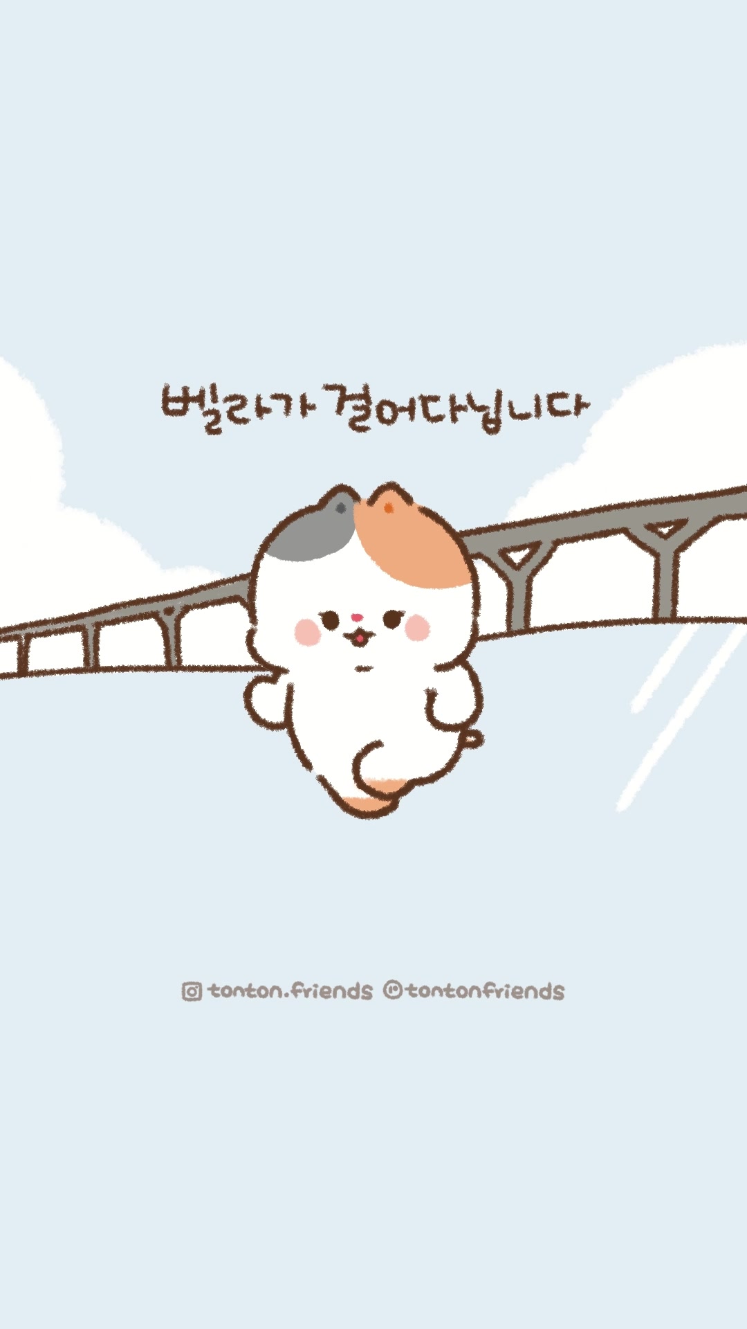 @Tonton Friends / 톤톤 🌵