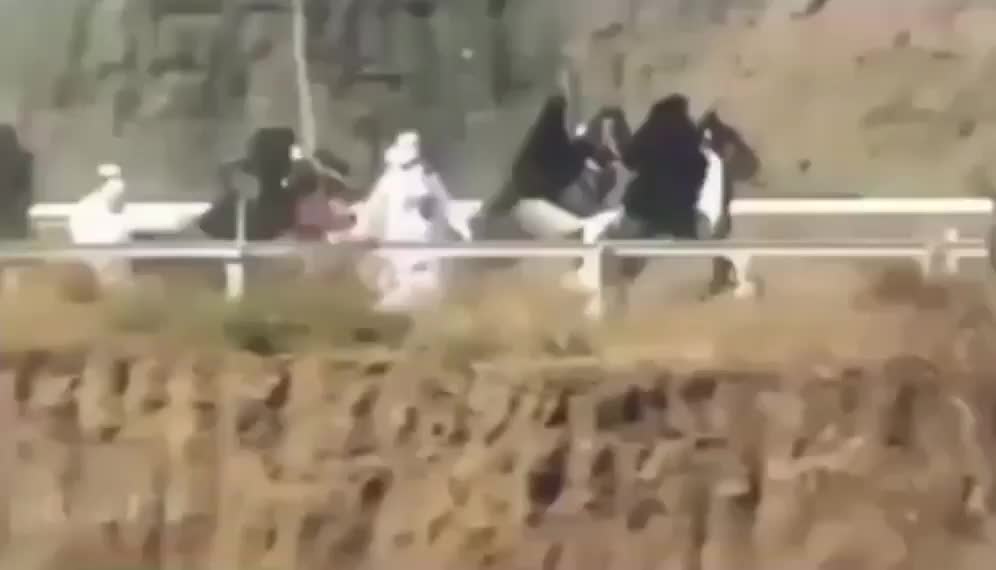 @tarki_horses05
