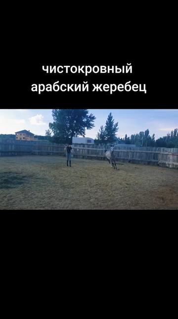 @Александр Червяков