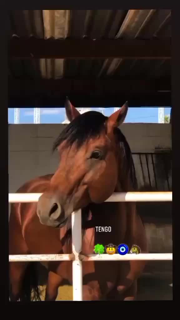 @Sebas.777🤠🍀📿