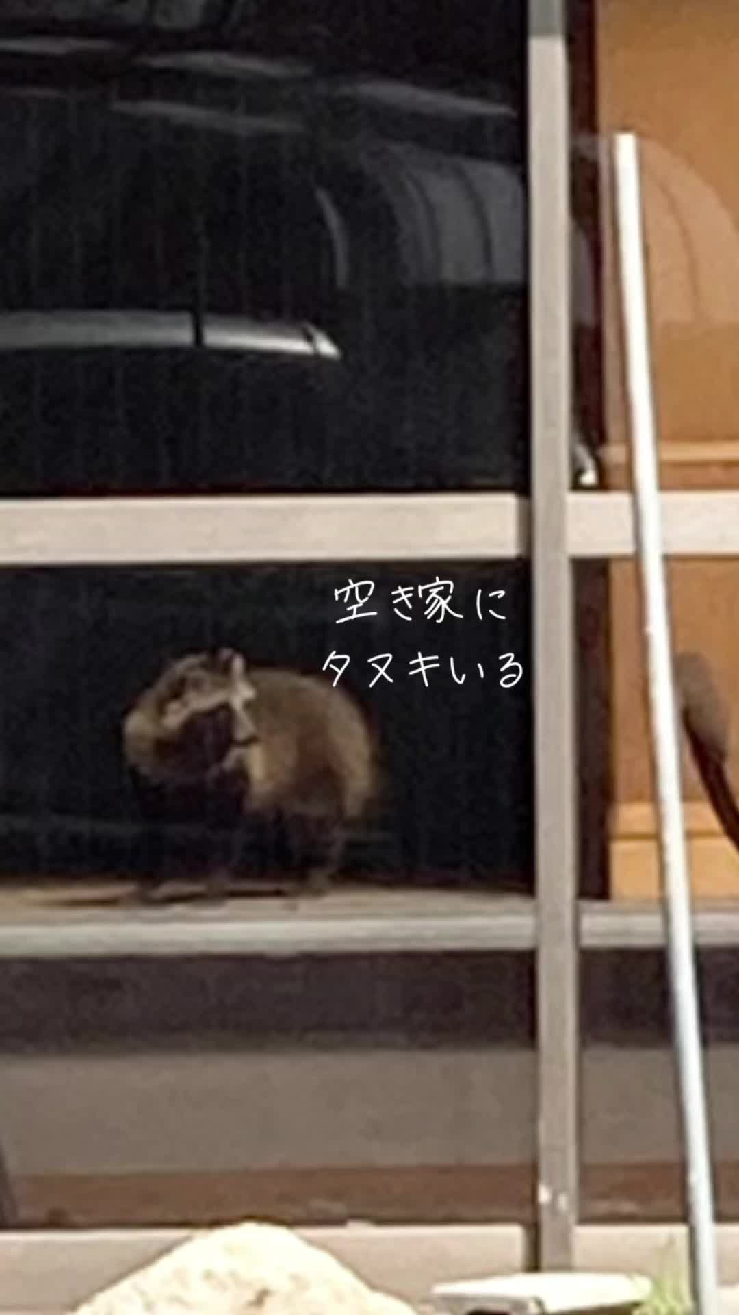 @めぐファームゴカ