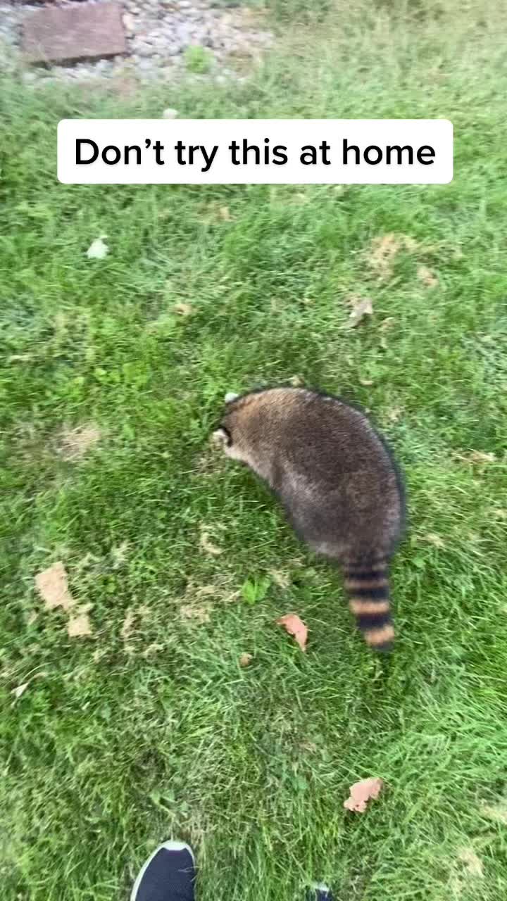 @Cats&Coons