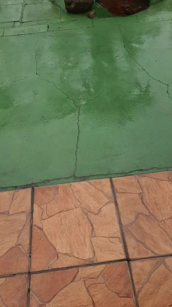 @MceloJapa