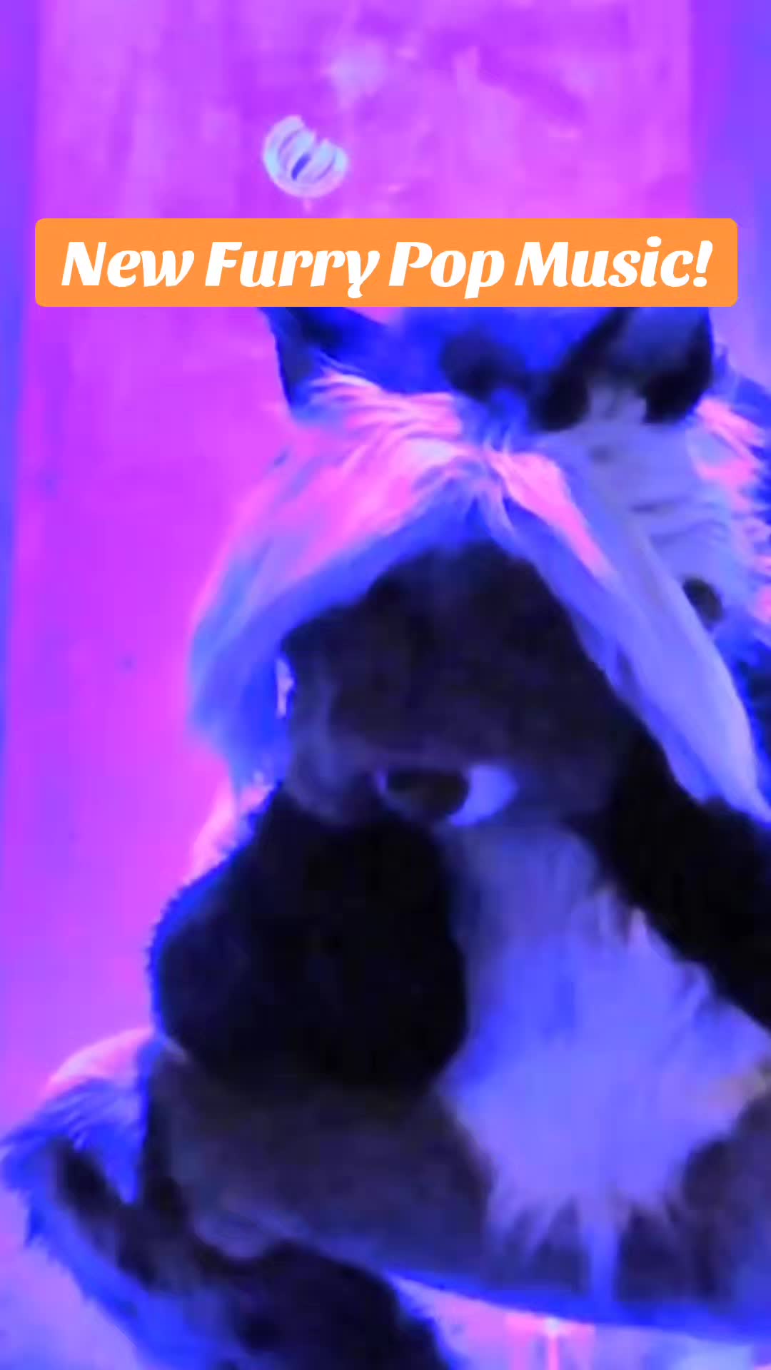 @Cassidy Civet has new songs?!