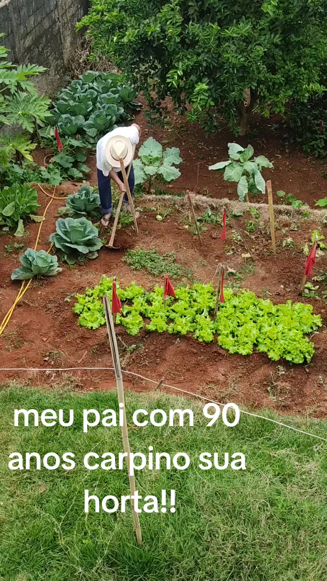 @mariamarciaoliv57