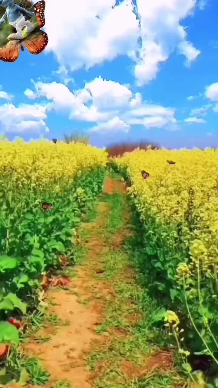 @Ukraine Top1🇺🇦