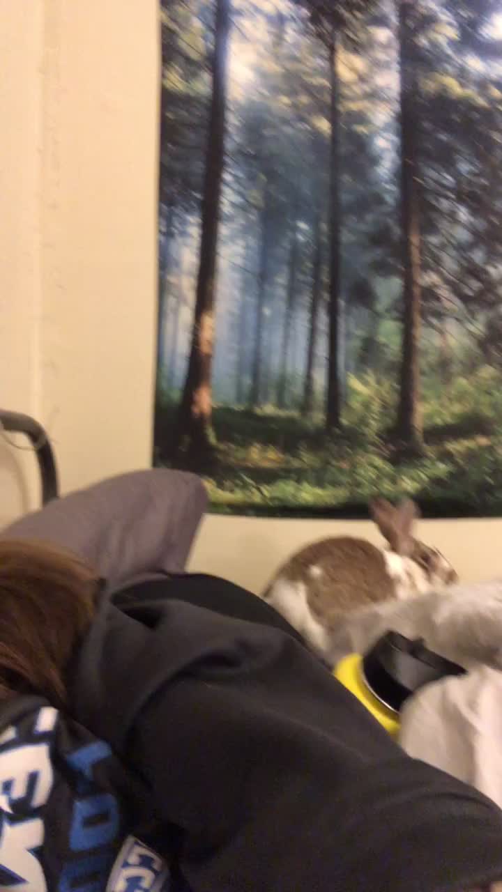 @Carleystoker