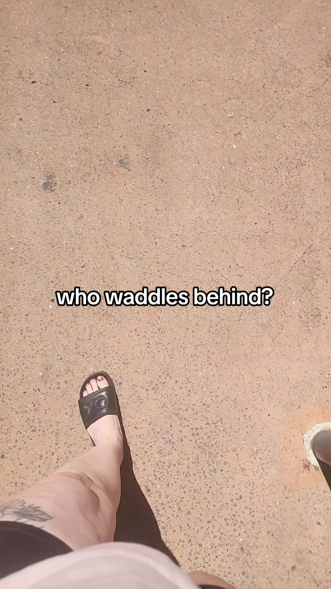@Ⓢ Ⓗ Ⓐ Ⓝ Ⓨ