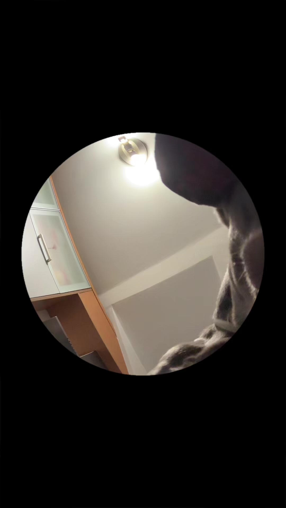 @Kantinflas
