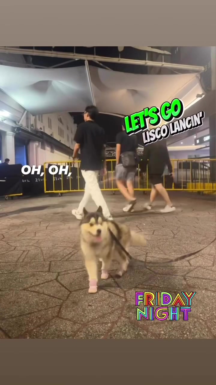 @Goofy&ensp;Dawg