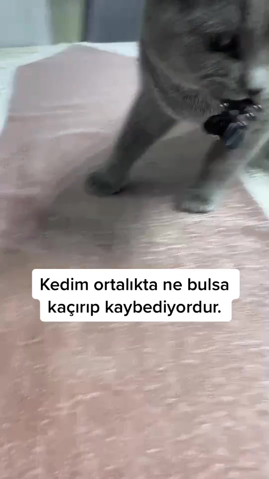 @dryakbas