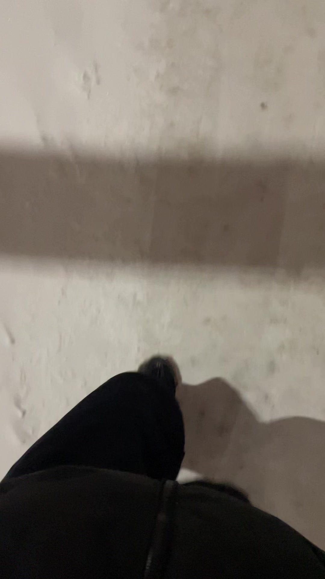@Wwwpeacecom