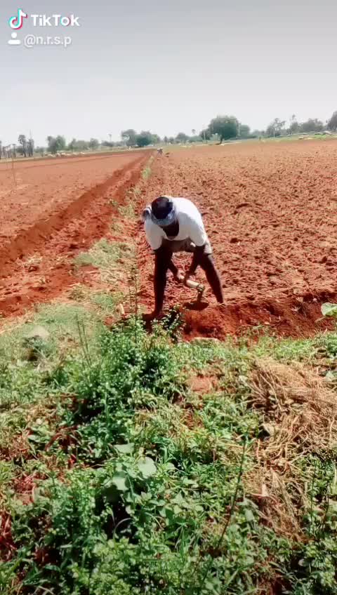 @రైతు బిడ్డ (PPL) 143