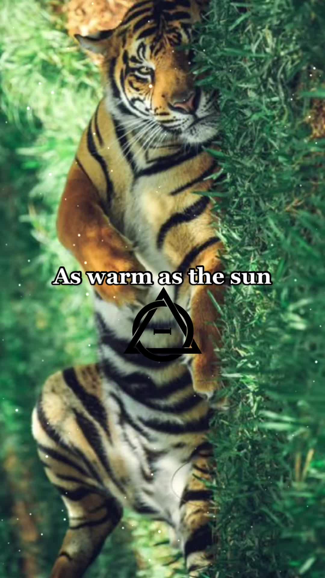 @Snowwystripes
