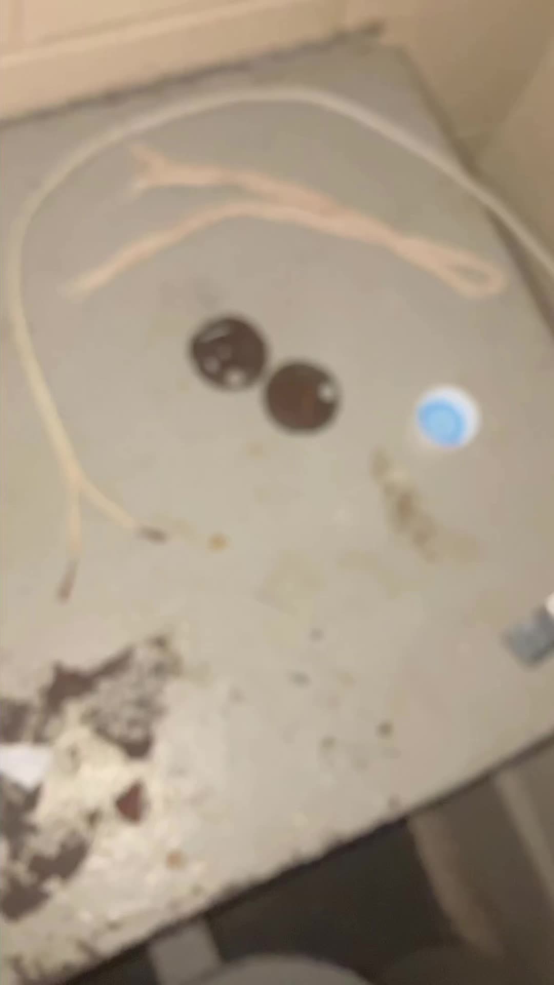 @RedRain