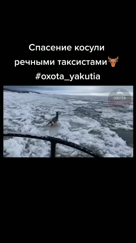 @Radomirovich