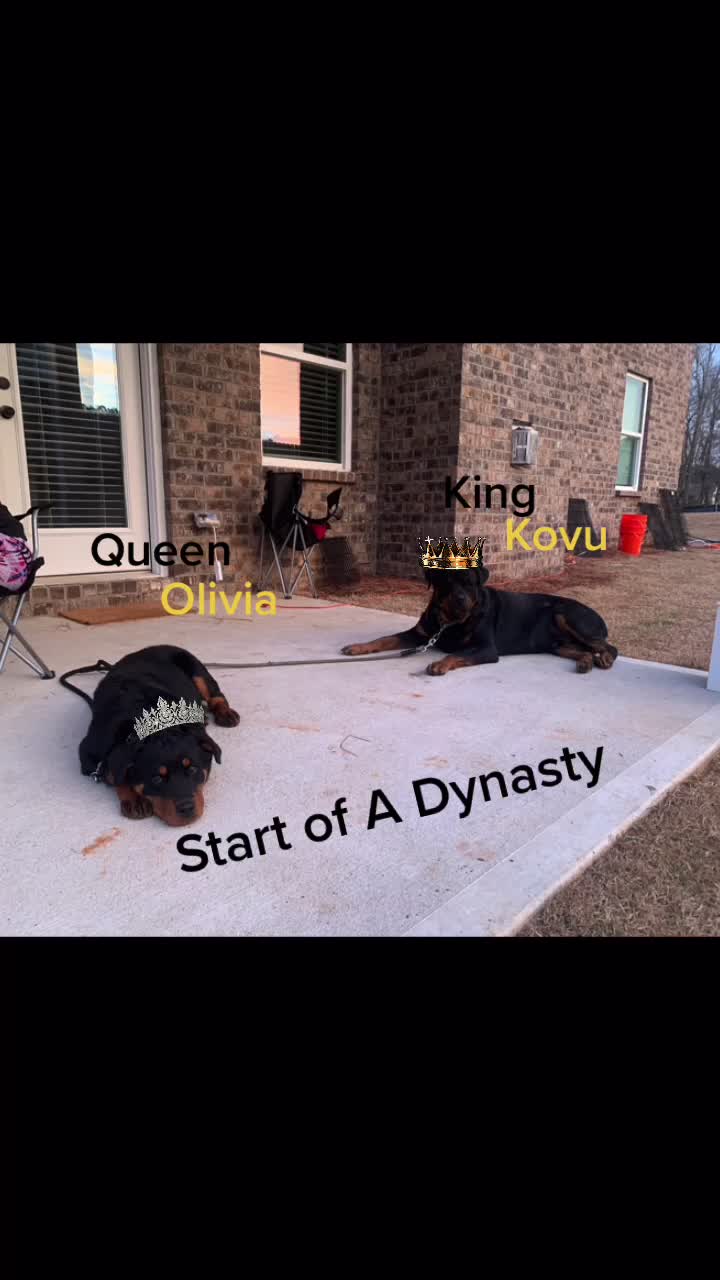@Son of a KING K9