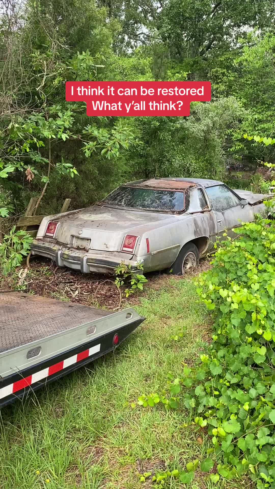@Thejunkladyaug 🚗