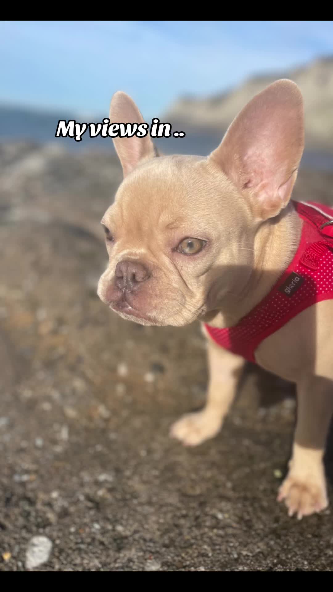 @Ci