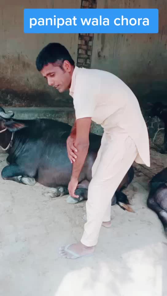 @joginder rawal