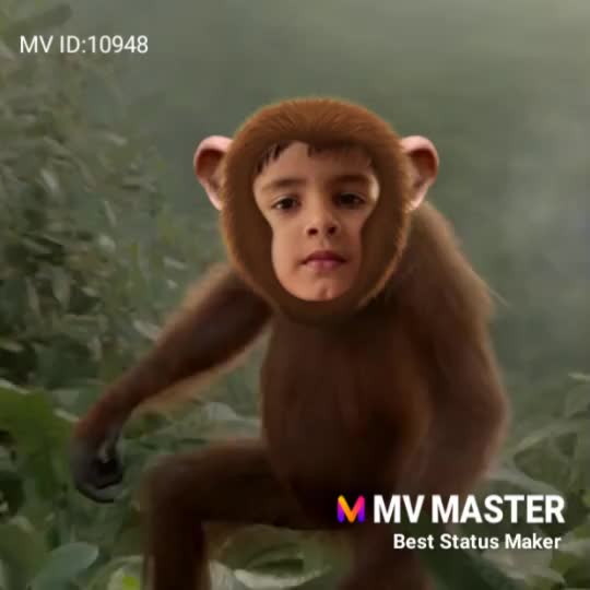 @Neeraj Kadyan