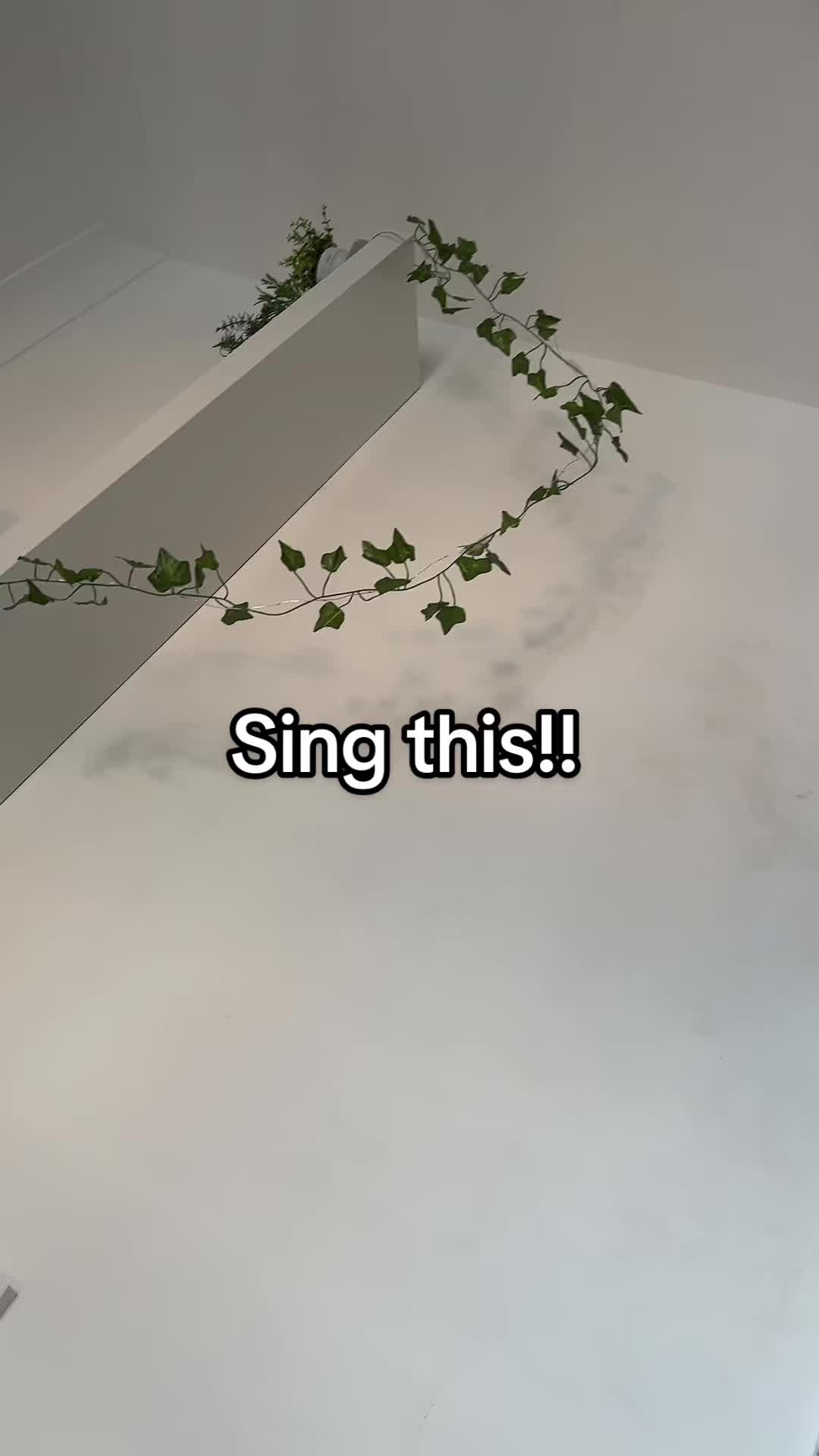 @sksvibezzz
