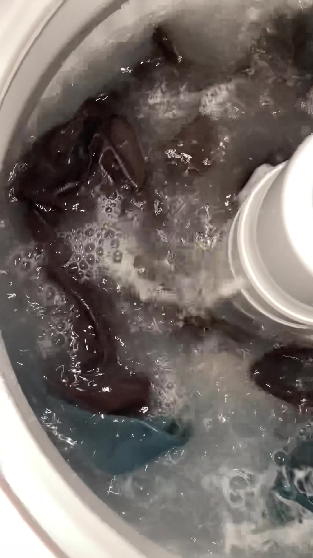 @aquaticblues